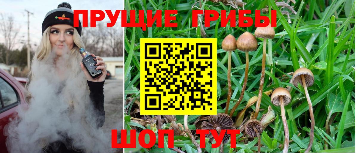 Галлюциногенные грибы мицелий  Вход с VPN  Шадринск 