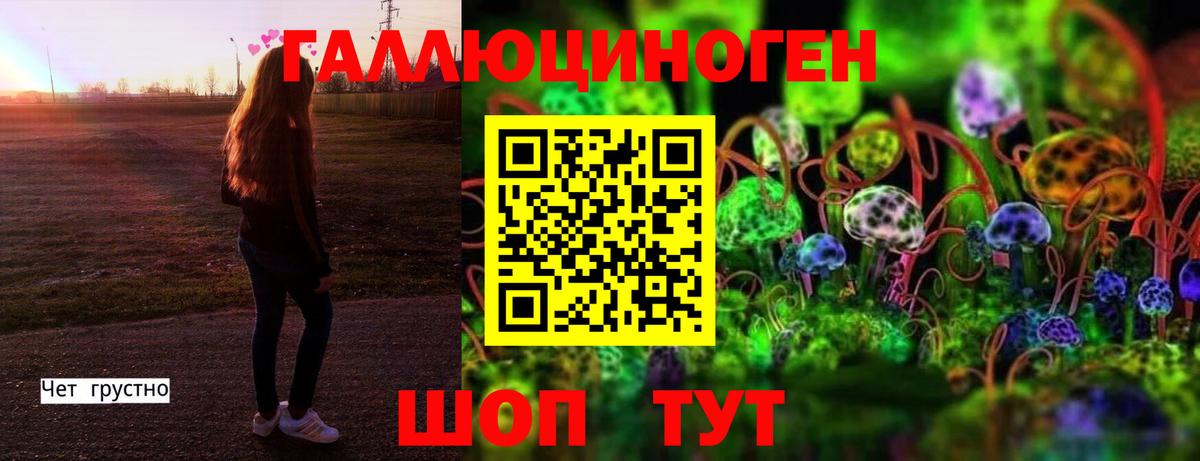 Галлюциногенные грибы Psilocybe Шадринск
